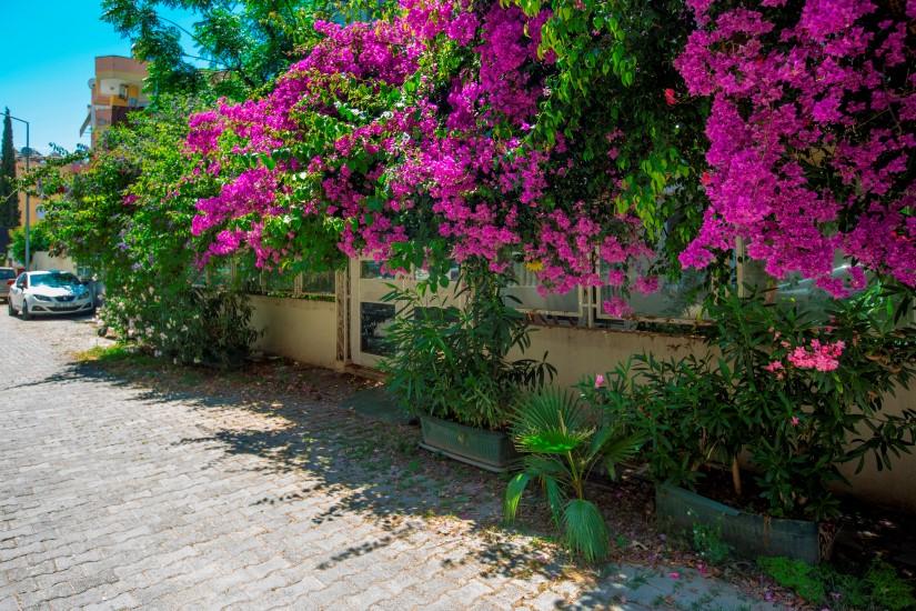 MAY175 - Фото 21