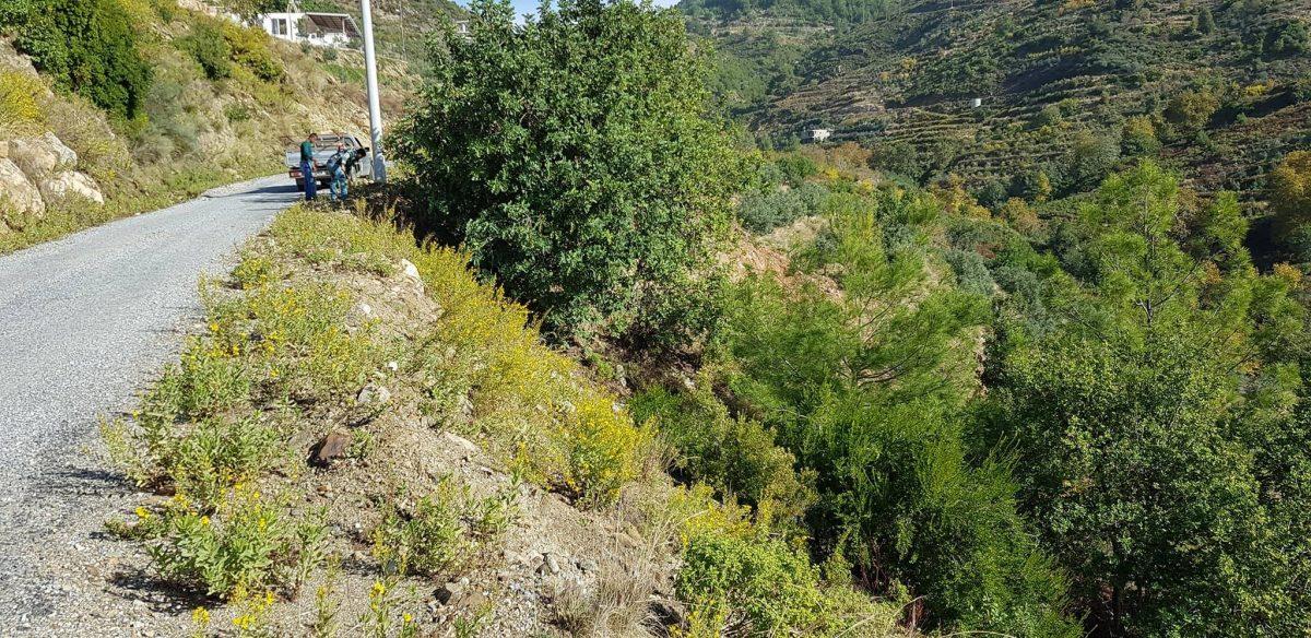 MAY356 - Фото 13