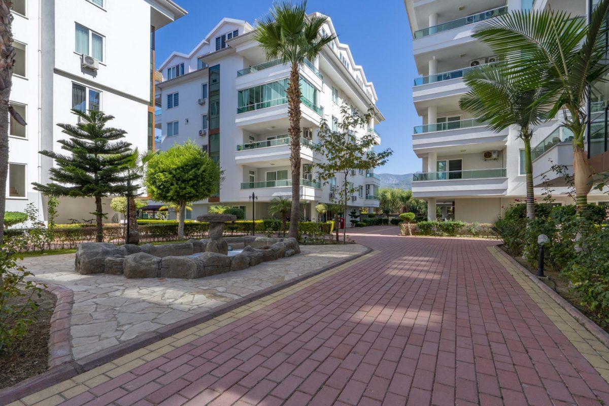 MAY1595 - Фото 2