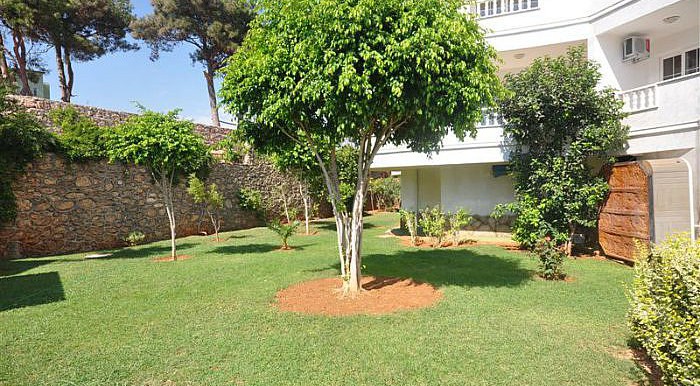 MAY3887 - Фото 19