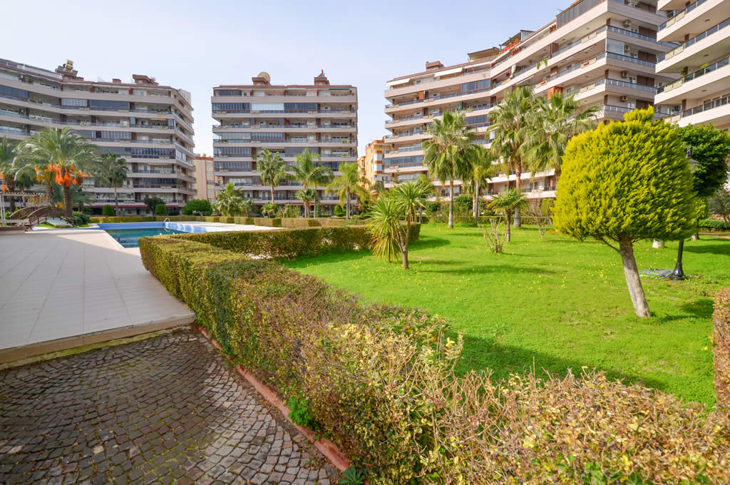 MAY3984 - Фото 12