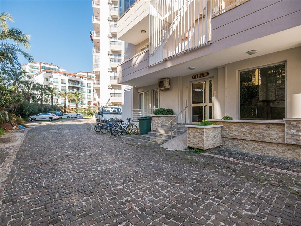 MAY3984 - Фото 2