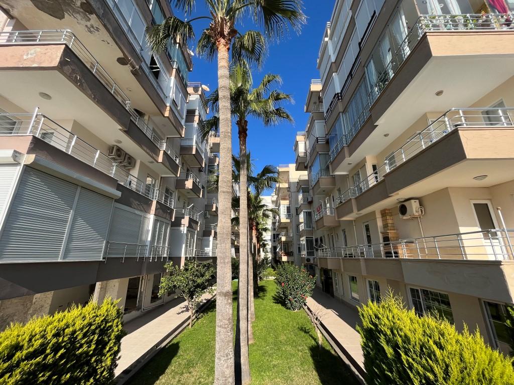 MAY4021 - Фото 4