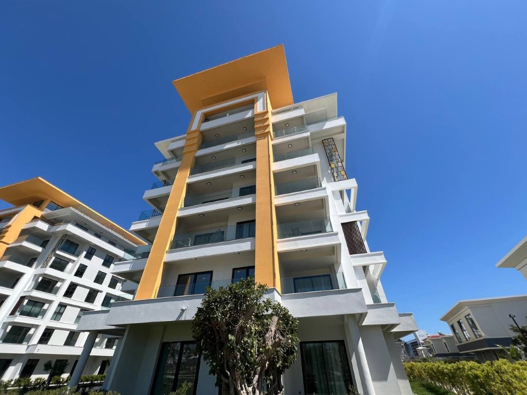 MAY6782 - Фото 8