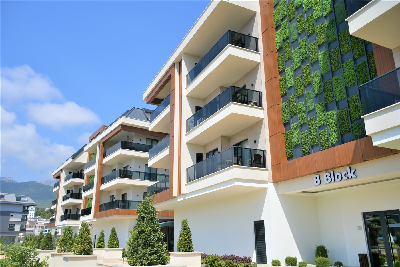 MAY6812 - Фото 13