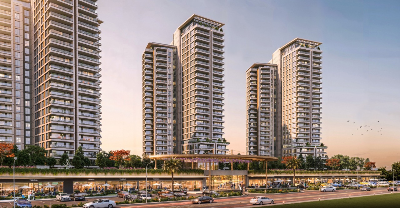 MAY6800 - Фото 2